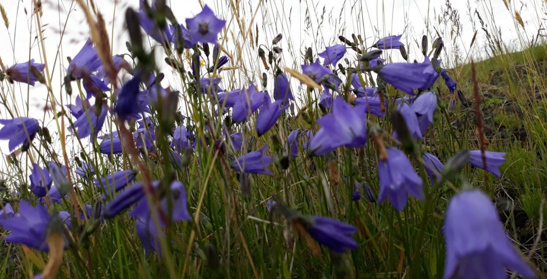 Safnaðarstarf getur verið mjög blómlegt í lítilli sókn. (Ljósm. LM)