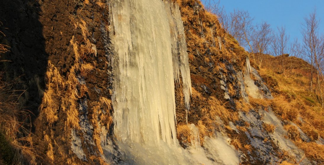 Ætli þau kenni á íshörpu? (Ljósm. LM)