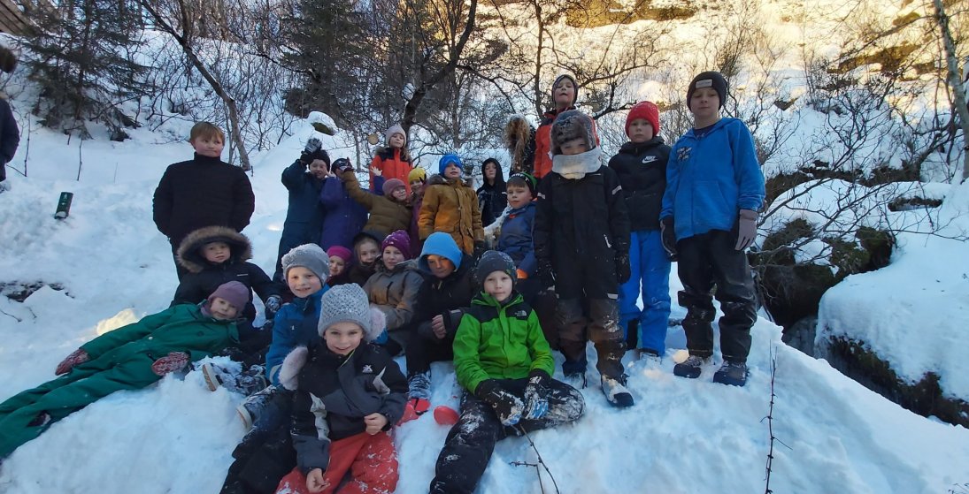 Ævintýraskógurinn, jólasveinar og ljón... eða björn!
