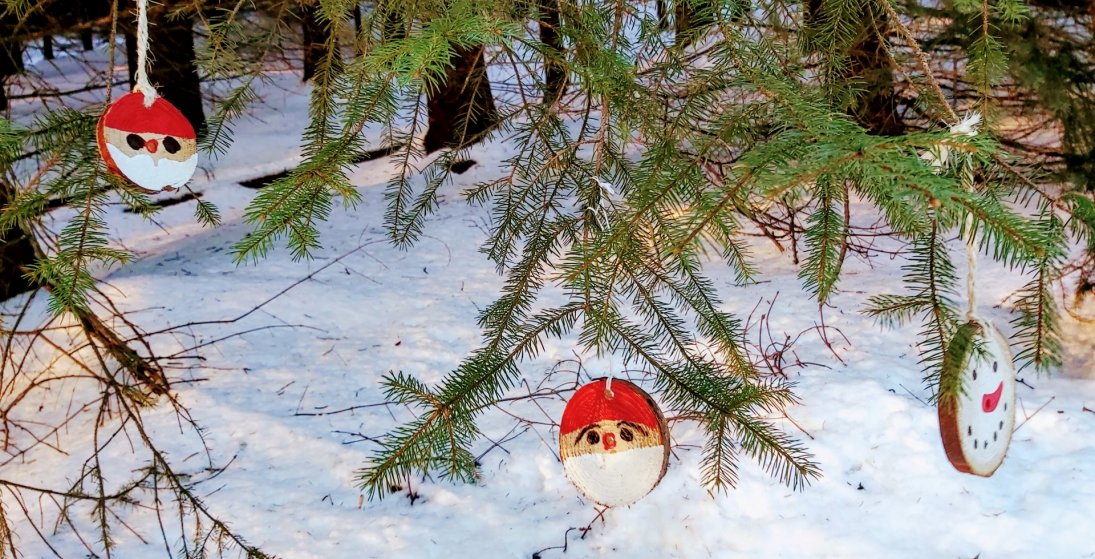 Ævintýraskógurinn er opinn alla daga og langt fram á nótt. (Ljósm. Lilja M)