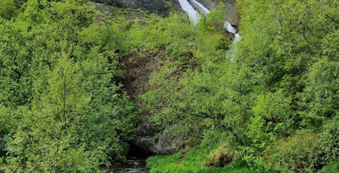 Njótum dags íslenskrar náttúru