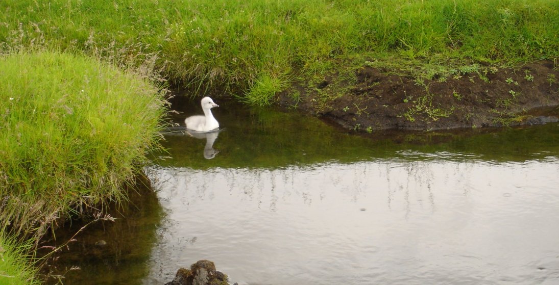 If you need help, ask for it. (Ljósm. LM)