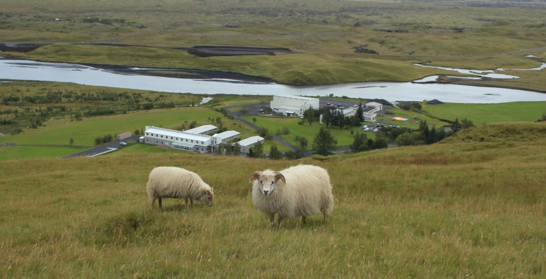 Gimbur, hrútur, hótel, grunnskóli, þekkingarsetur, íþróttahús, sundlaug og gestastofugrunnur. (Ljósm…