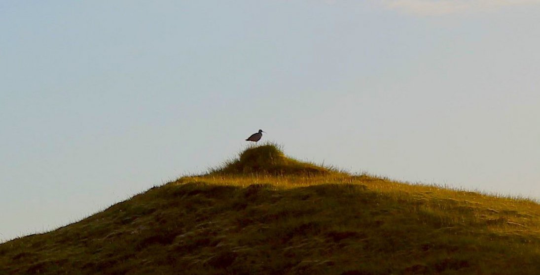 Lítil hugmynd getur orðið að stóru verkefni sem skapar atvinnu. (Ljósm. LM)
