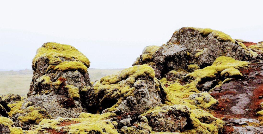 Blágil - samspil ljóss og lita, ljúfur staður (Ljósmynd ÓJ)