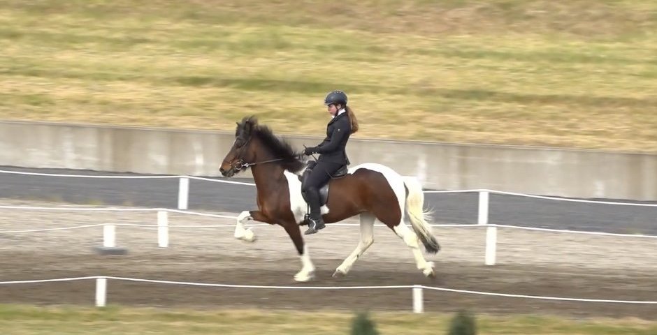 Svanhildur á Brekkan frá Votmúla að keppa á Reykjavíkurmótinu 2021