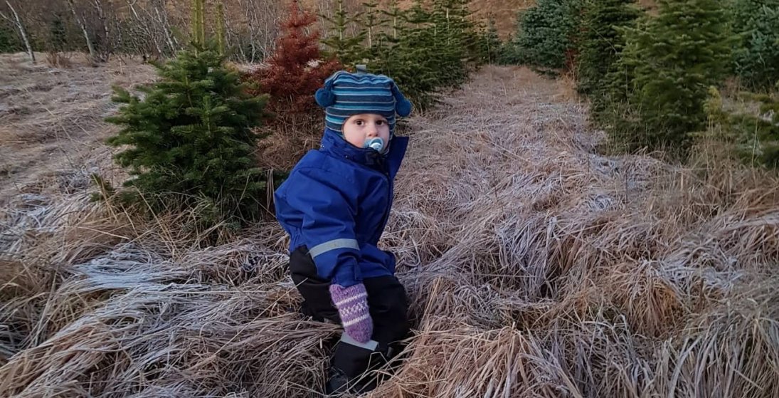 Tími kominn til að sækja jólatré. (Ljósm. Erla Þórey)