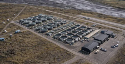 Tilkynning frá Whitehay Capital