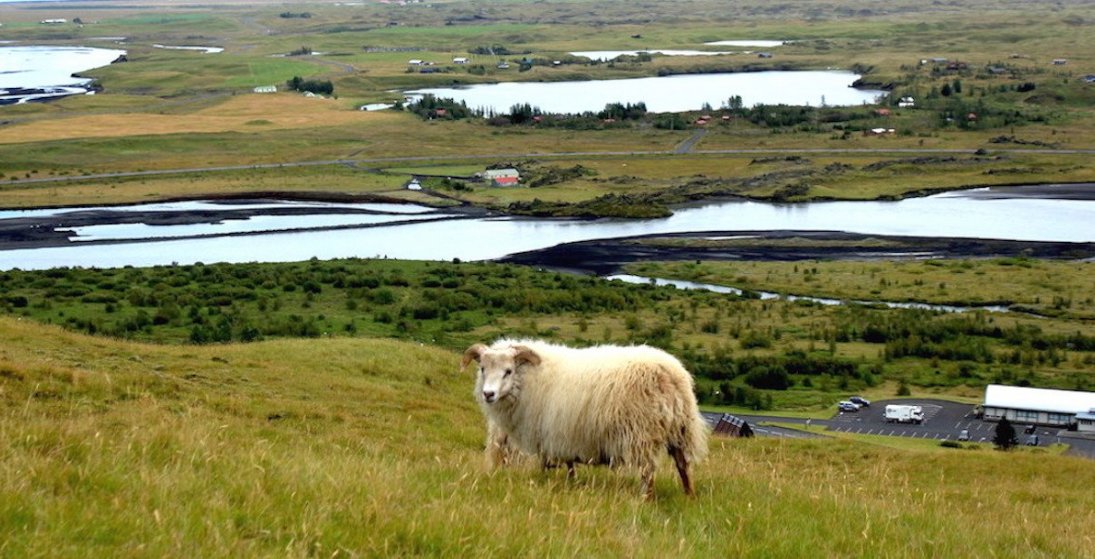 Ástarbrautin fékk styrk