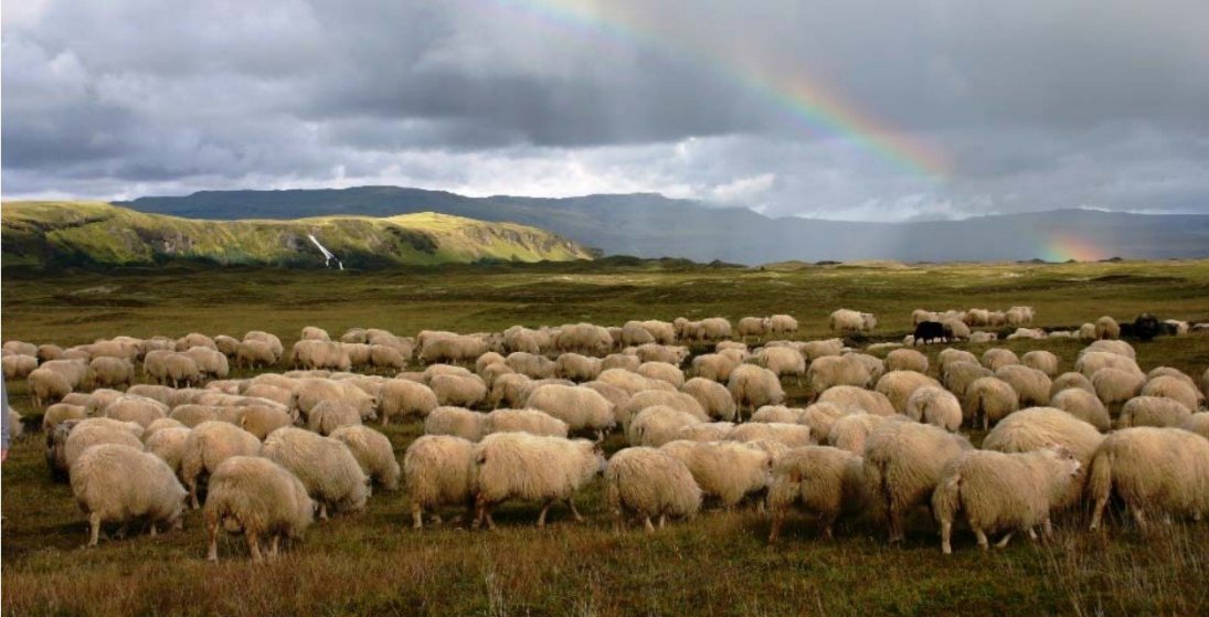 Réttir í Skaftárhreppi (Ljósm. Margrét Ólafsdóttir)