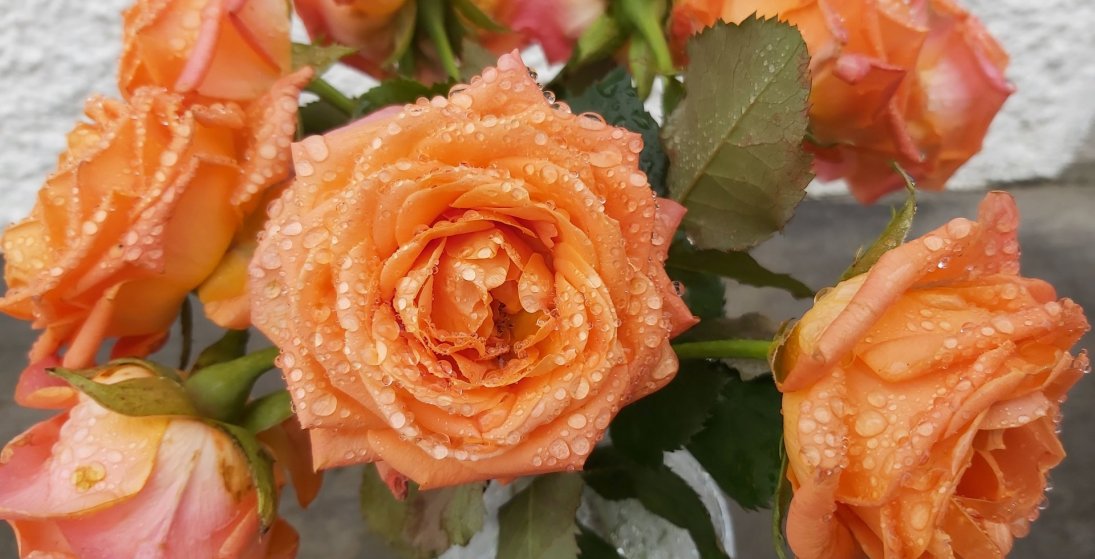 Kvenfélög eru rósir í hnappagati hvers samfélags. Allaf að safna fyrir einhverju sem bætir og hjálpa…