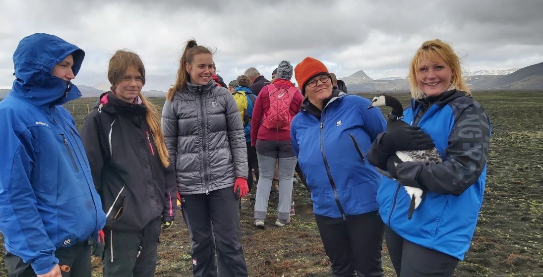 Helsinginn Laki er hér í öruggum höndum hjá sveitarstjóra Skaftárhrepps. Starfsmenn Náttúrustofu Suð…