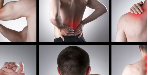 Mynd af vefnum Netsjúkraþjálfun.is