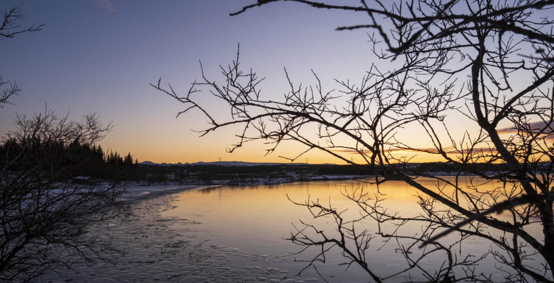 Sveltur sitjandi kráka en fljúgandi fær. Umsókn er möguleiki!