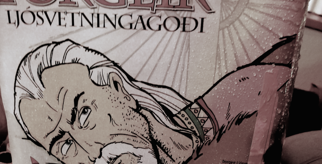 Blandað heimilissorp. Mixed garbit from homes (Ljósm. LM)