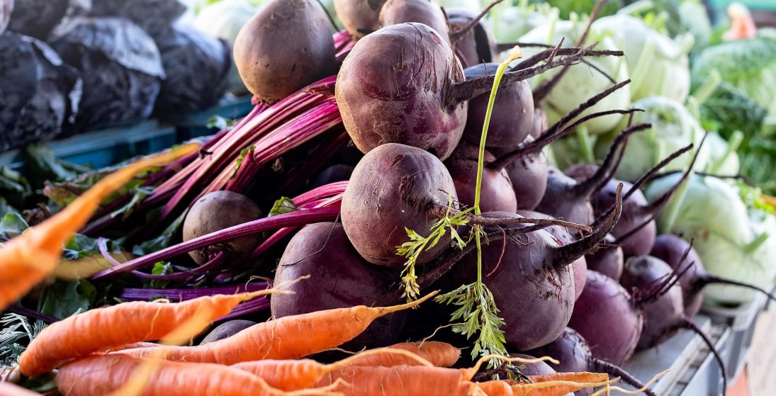 Uppskeru og þakkarhátíð í Skaftárhreppi