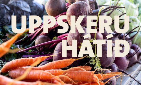 Uppskeru og þakkarhátíð/Harvest and Thanksgiving festival