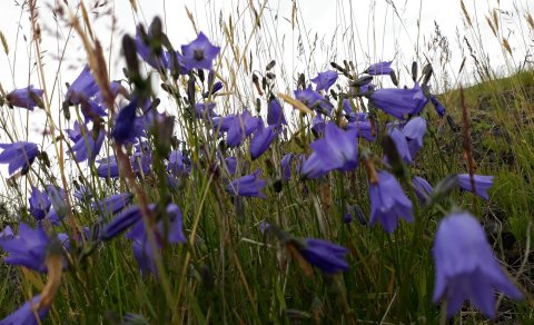 Safnaðarstarf getur verið mjög blómlegt í lítilli sókn. (Ljósm. LM)