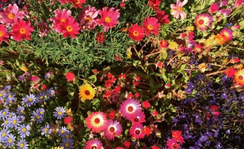 Mynd frá einni stelpunni í kvenfélaginu Hvöt.