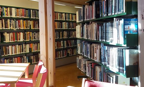 Skáldsögurnar eru allar komnar niður. (Ljósm. LM)