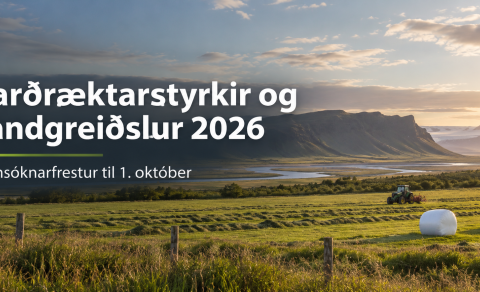 Jarðræktarstyrkir og landgreiðslur 2026 – umsóknarfrestur er til 1. október.