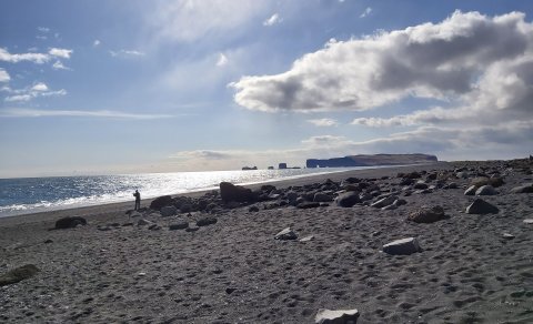 Dyrhólaey séð frá Reynisfjöru (Ljósm. LM)