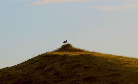Lítil hugmynd getur orðið að stóru verkefni sem skapar atvinnu. (Ljósm. LM)