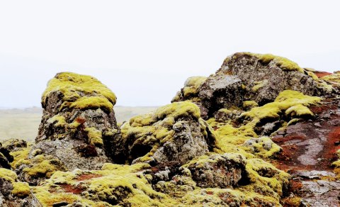 Blágil - samspil ljóss og lita, ljúfur staður (Ljósmynd ÓJ)