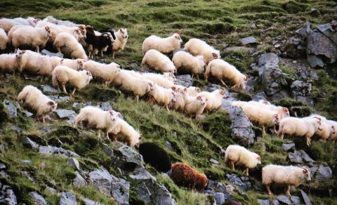 Kosið verður til alþingis og um sameiningu sveitarfélaganna fimm í V-Skaft. og Rangárvallasýslu (Ljó…