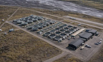 Tilkynning frá Whitehay Capital