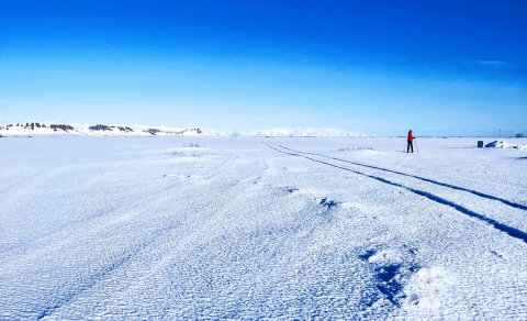 To learn Icelandic is maybe like walking to the highest mountain in Iceland, Hvannadalshnjúkur. It i…