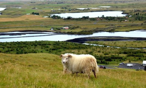 Ástarbrautin fékk styrk