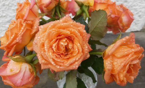 Kvenfélög eru rósir í hnappagati hvers samfélags. Allaf að safna fyrir einhverju sem bætir og hjálpa…