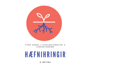 Hæfnihringir á netinu - konur á landsbyggðinni