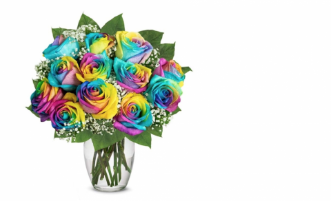 Blómasala fyrir bóndadaginn. Flowers in Skaftárskáli