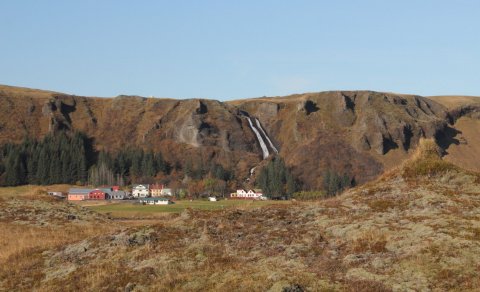Skógrækt á Klaustri hófst 1945. Þar er nú hæsta tré á Íslandi. (Ljósm. LM)