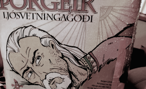 Blandað heimilissorp. Mixed garbit from homes (Ljósm. LM)