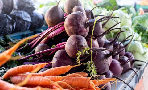 Uppskeru og þakkarhátíð í Skaftárhreppi